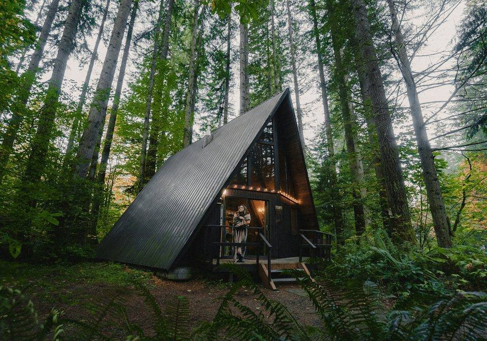 A small cabin surrounded by tall forest trees